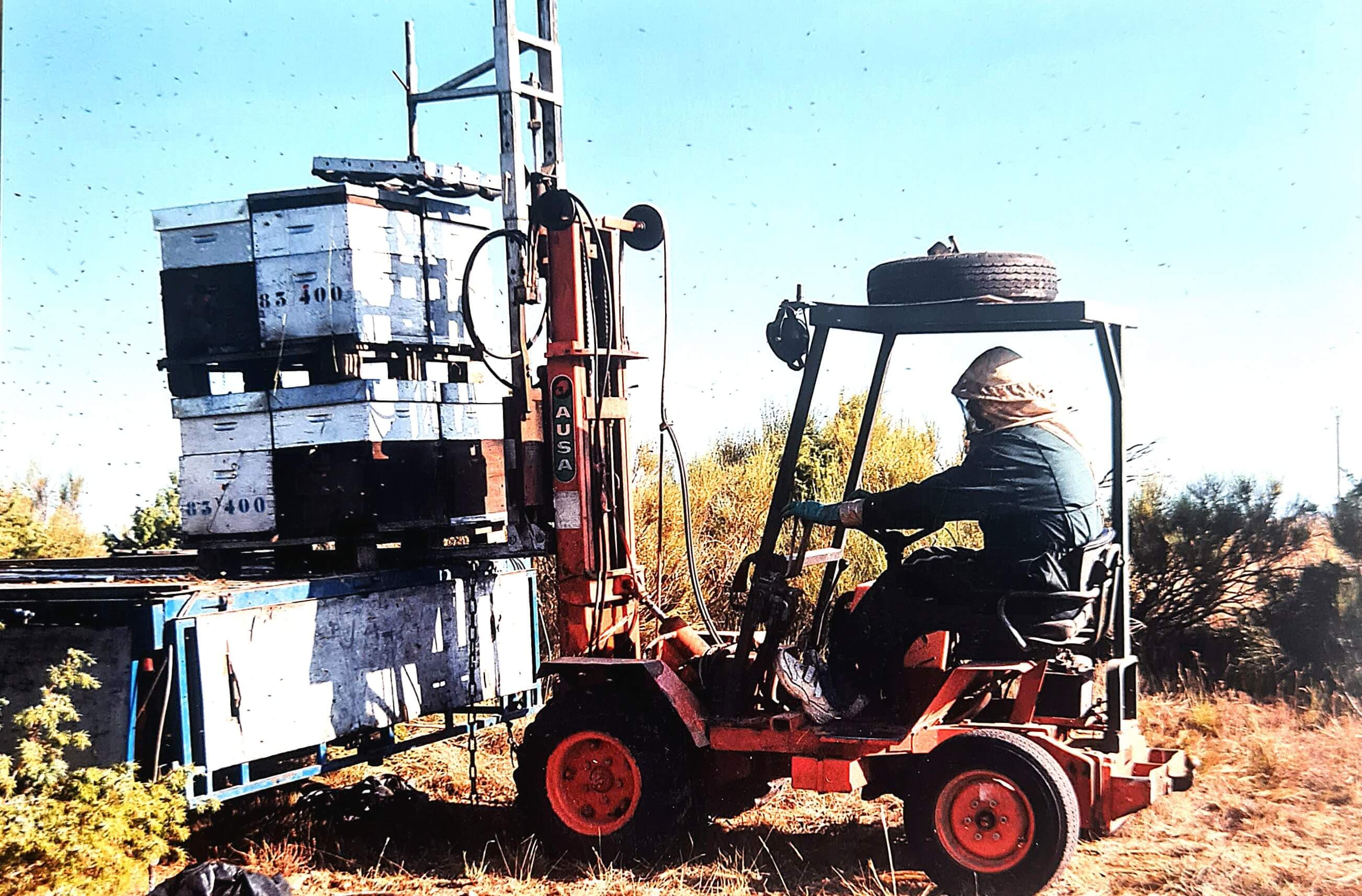 Ruches colorées en Provence