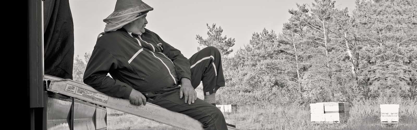 Abeilles en plein vol