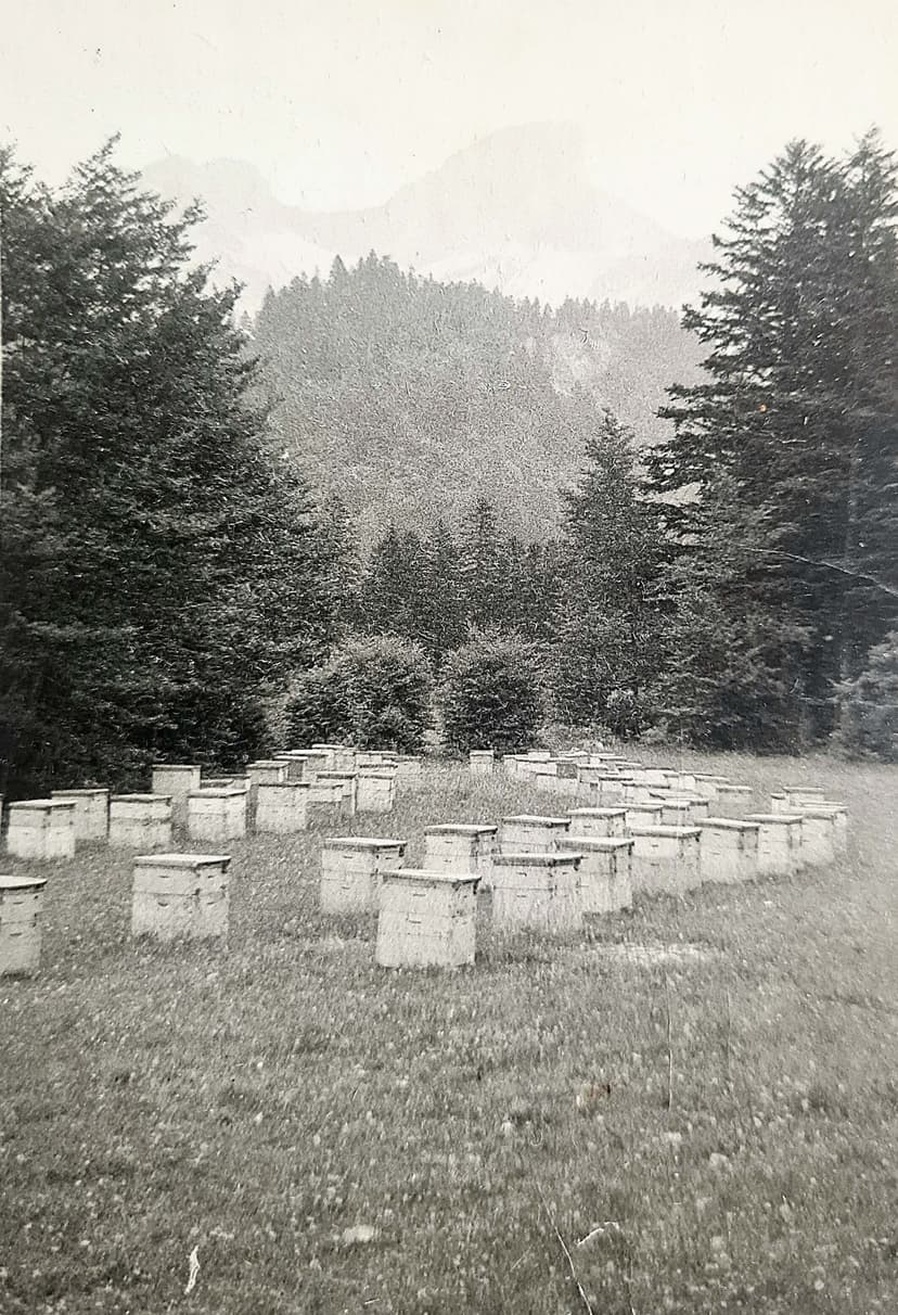 Expansion sous Émile et André 